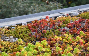 the cost of Cladach Chireboist green roof installation