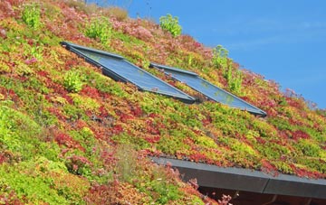 Cladach Chireboist living roof systems