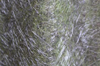 Cladach Chireboist fibreglass roof work